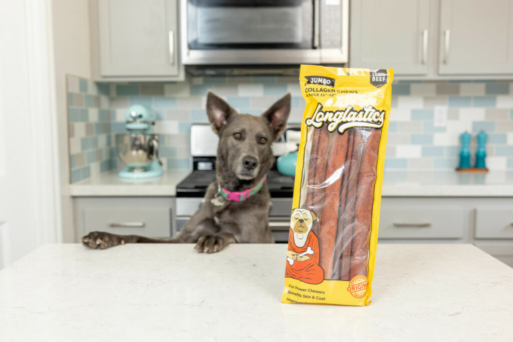 a dog with paws on the counter with a bag of Longlastics chews.
