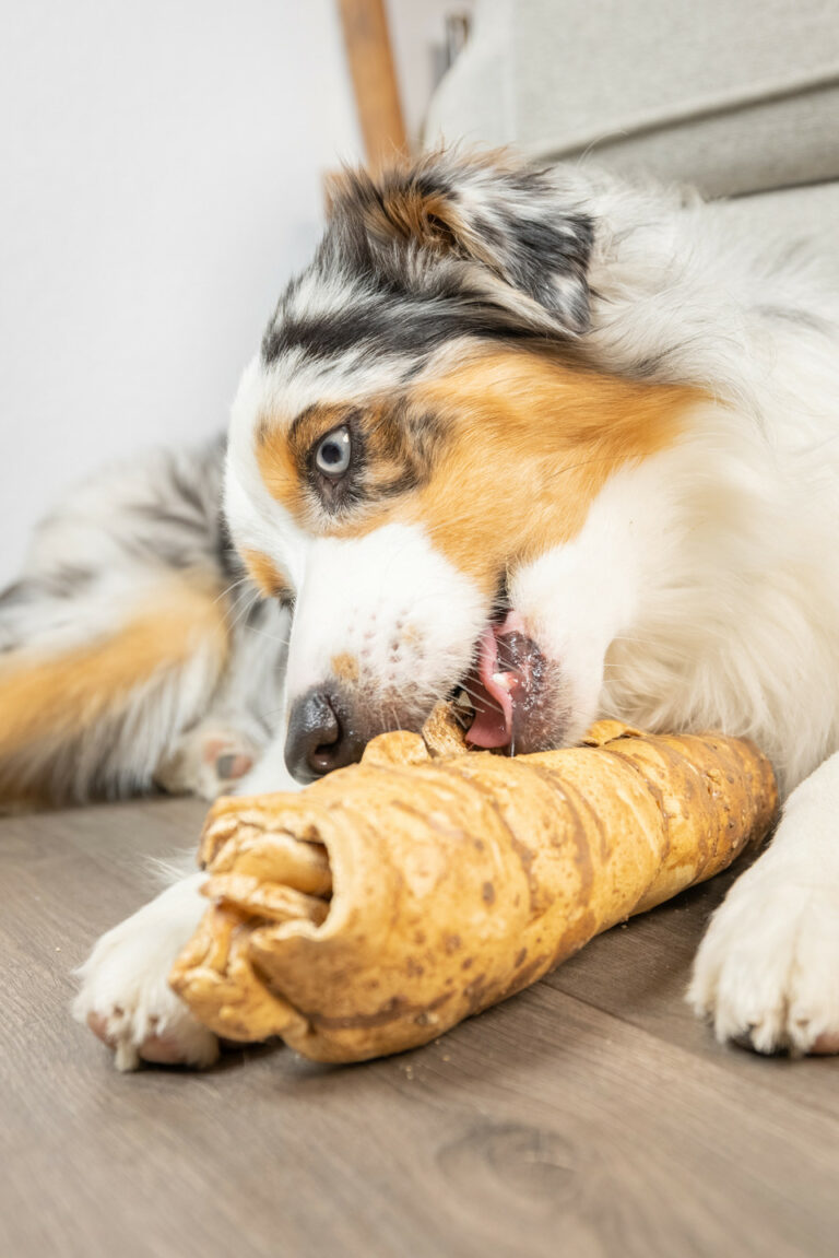 The 5 Best Affordable Natural Chews